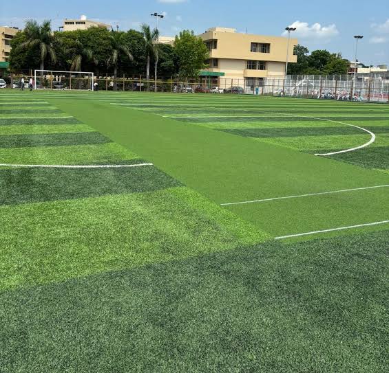 Certified Sports Grass