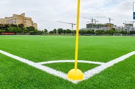Certified Sports Grass