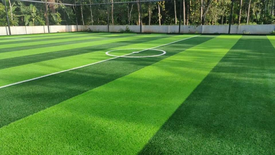 Certified Sports Grass